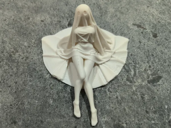 https://makerworld.bblmw.com/makerworld/model/US74bc0c12310a5e/design/2025-11-14_3c5ff6c030225.jpg