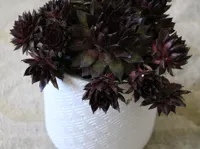 Cache-pot Art Déco — photo 1