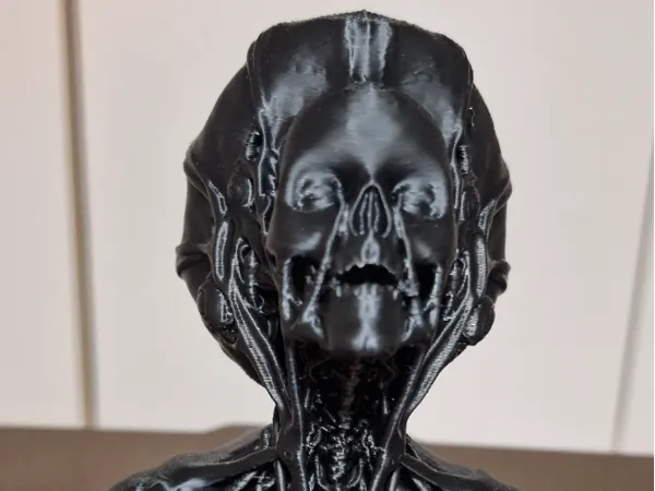 https://makerworld.bblmw.com/makerworld/model/US74c1d845531be6/design/68901194d2a09e1c.jpg