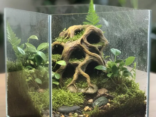 https://makerworld.bblmw.com/makerworld/model/US74cc009b3b9018/design/2025-12-05_a547e1abce55c.jpg