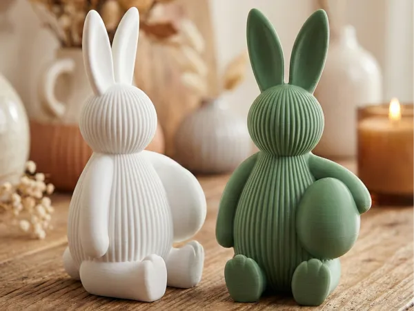 https://makerworld.bblmw.com/makerworld/model/US74d6ef9a5c228f/design/2026-01-17_25df497d6dcb.png
