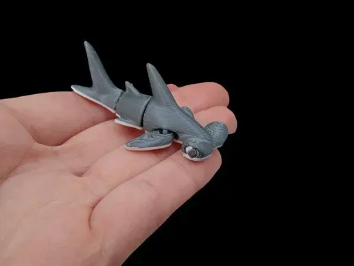 Tiny's Hammerhead Shark