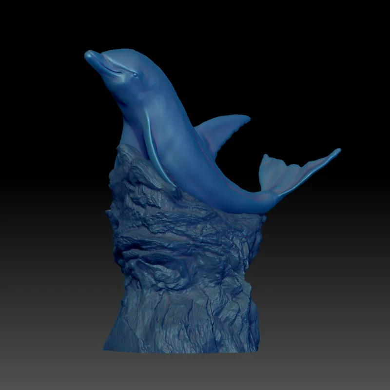 Dolphin on Rock