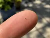 0.2mm nozzle, 0.1mm layer, 4 walls, 15% infill