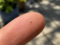 0.2mm nozzle, 0.1mm layer, 4 walls, 15% infill