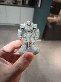 0.2mm nozzle, 0.08mm layer, 4 walls, 7% infill