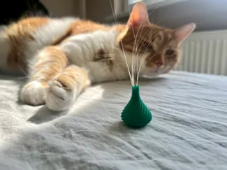 Cat whisker collector - WhiskerKeeper