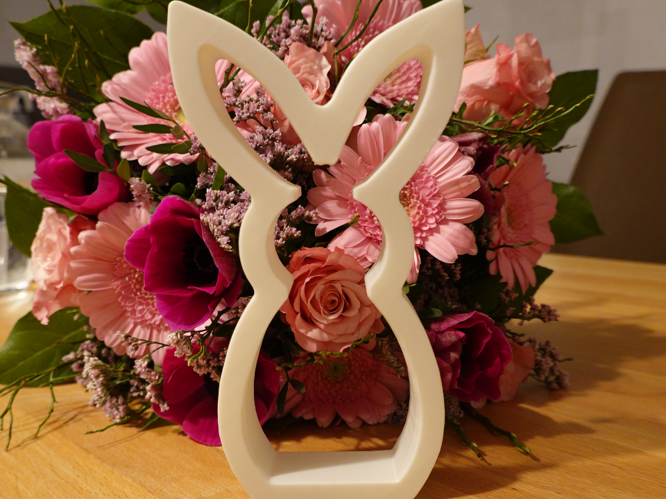 Hase Form