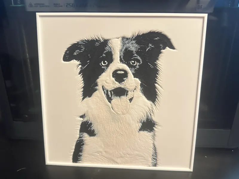 Border Collie Hueforge Poster