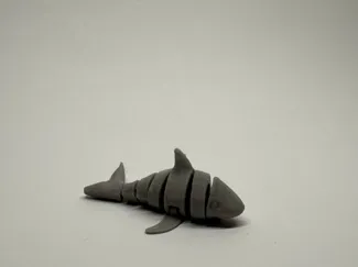 Cute Articulated Shark