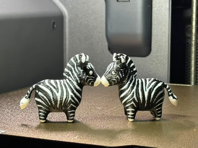 Mini Zebra