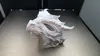 0.2mm layer, 2 walls, 10% infill (IPD 70mm Adult)