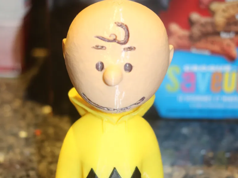 URBAN BUGS CHARLIE BROWN HEAD AND ZIGZAG HOODIE