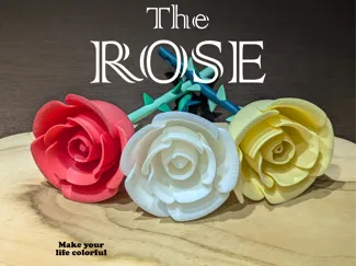 FlowerPower Collection: Rose