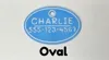 ID tag oval