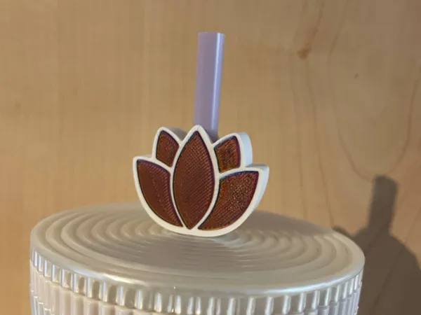 https://makerworld.bblmw.com/makerworld/model/US7501f42669fba9/design/2025-05-27_12f267808c5e18.jpeg