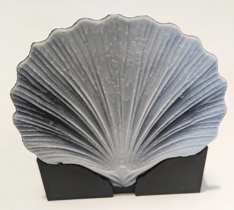 Seashell stand for HueForge calibration seashells