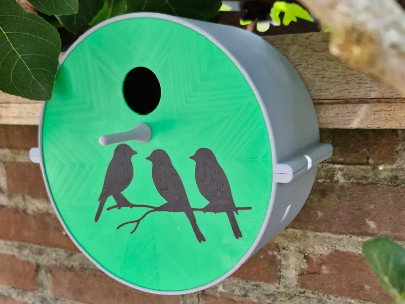 Bird House