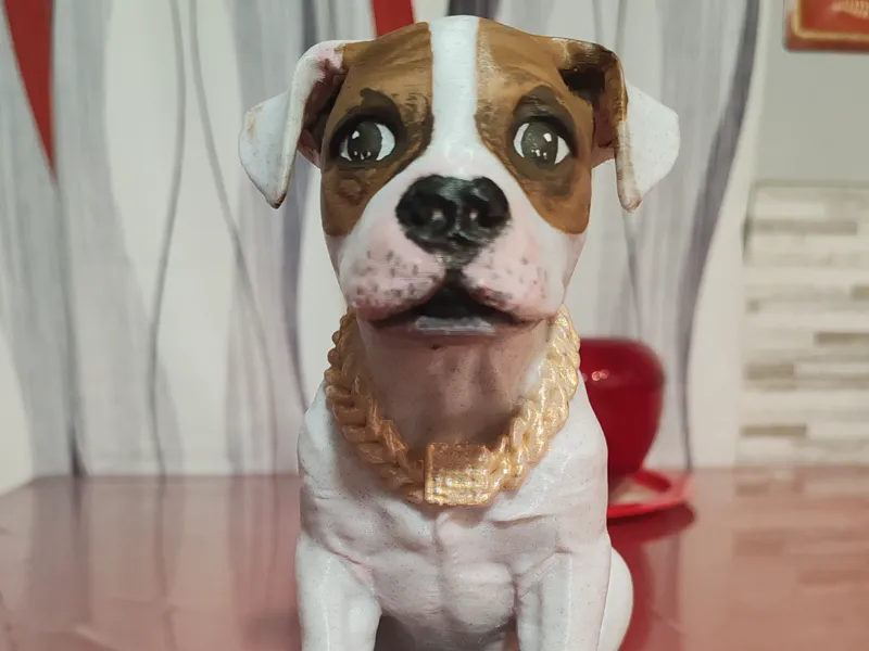 Pitbull piccolo