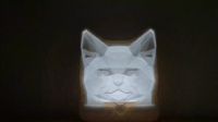 0.2mm layer, 3 walls, 8% infill