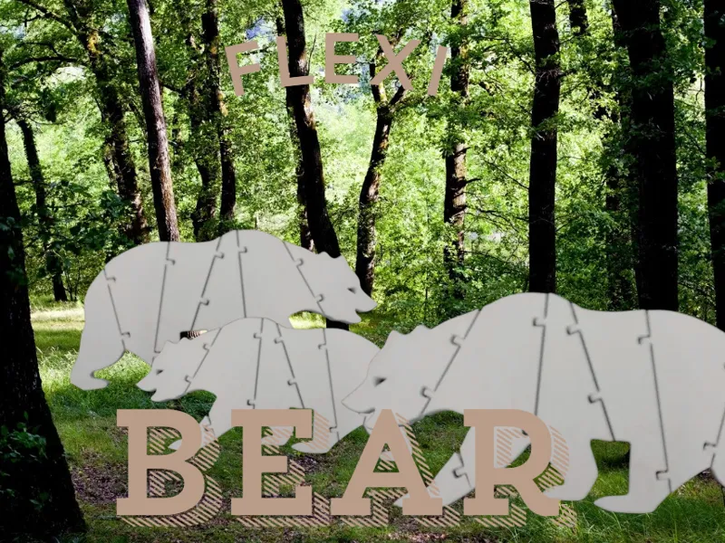 flexi bear