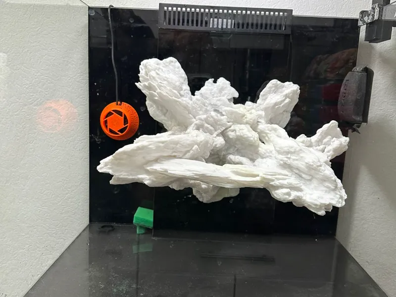 Flying Reef