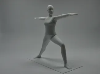 Yoga warrior pose