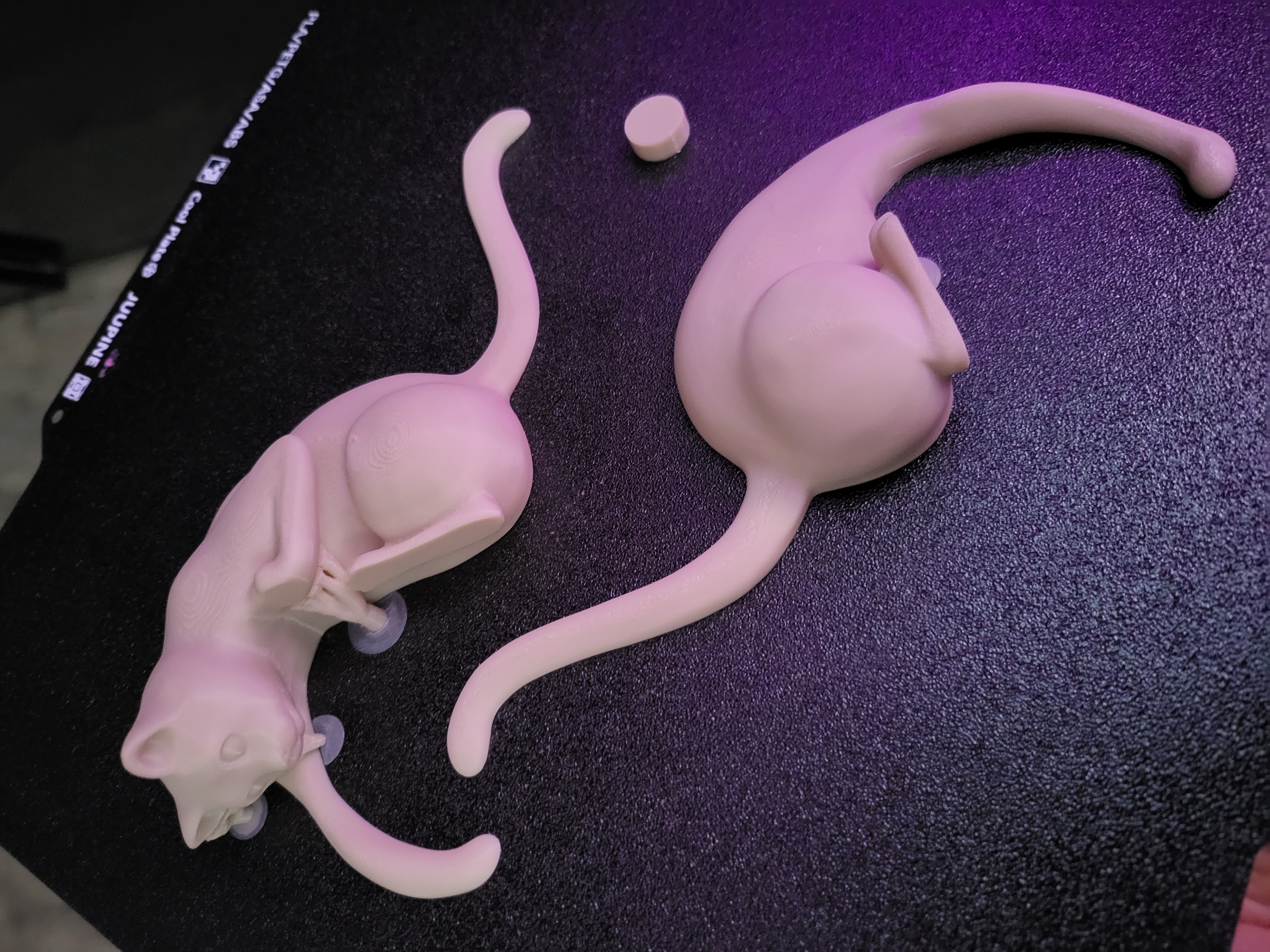 Miniatura 2 do modelo 3D Cat Shelf Hook with Lantern