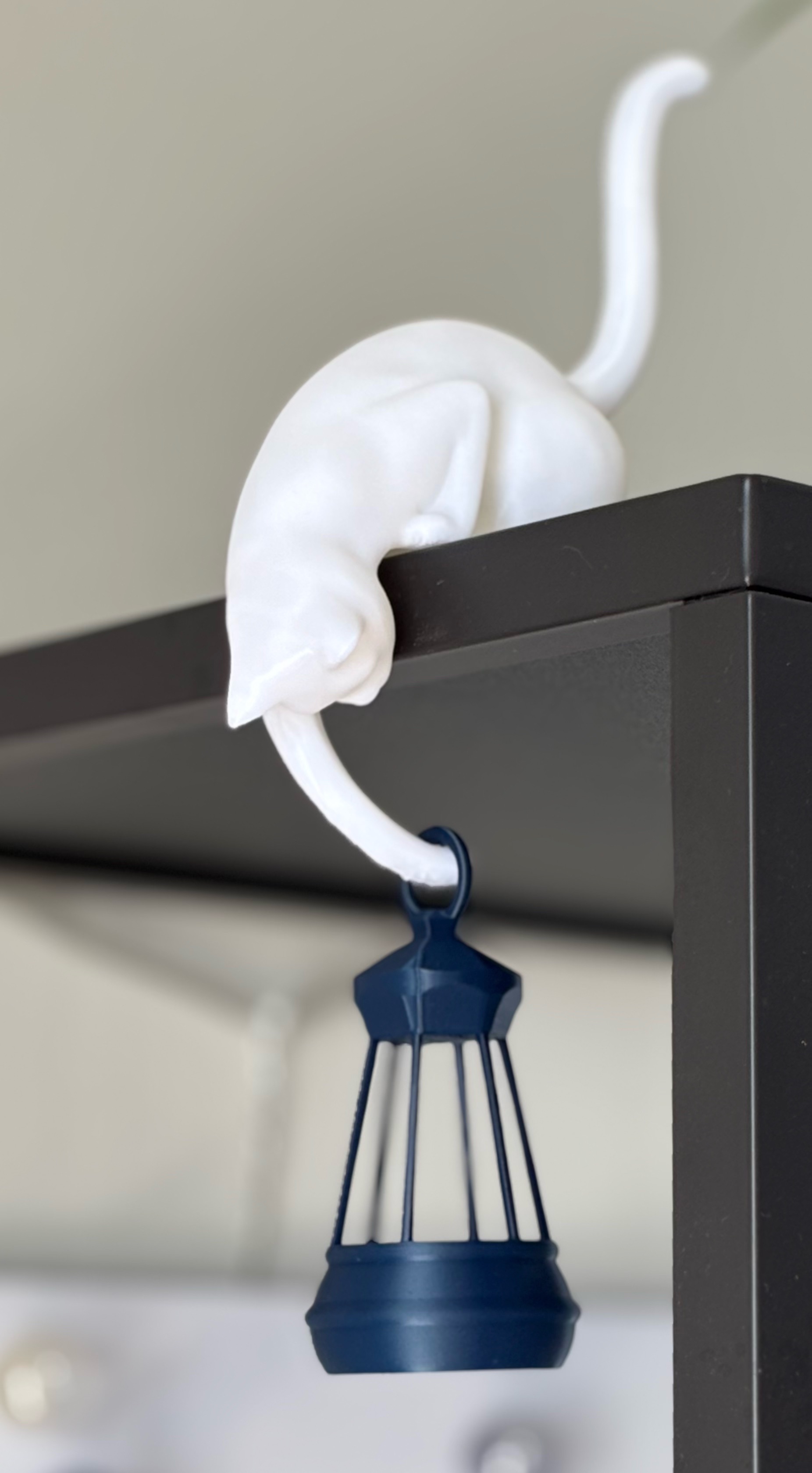 Miniatura 3 do modelo 3D Cat Shelf Hook with Lantern
