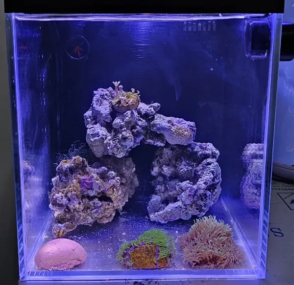 https://makerworld.bblmw.com/makerworld/model/US751c558d09adee/design/98faf64d-f108-4ffb-a712-013c01bd9cdc.webp