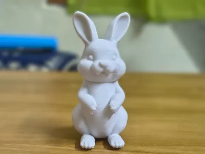 Cute Bunny
