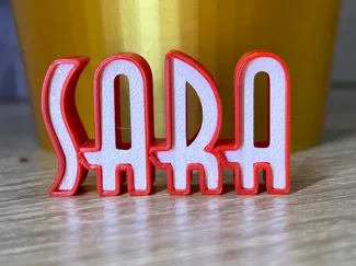 SARA name names named others namedesign