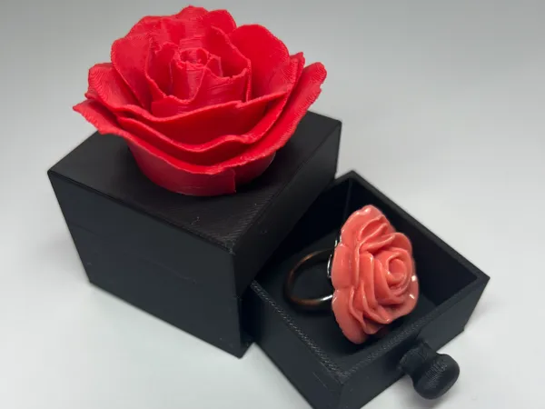 https://makerworld.bblmw.com/makerworld/model/US751e4d2d8d3670/design/2025-02-03_7b794688ab9e4.jpg