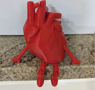 Anatomically Correct Heart Buddy