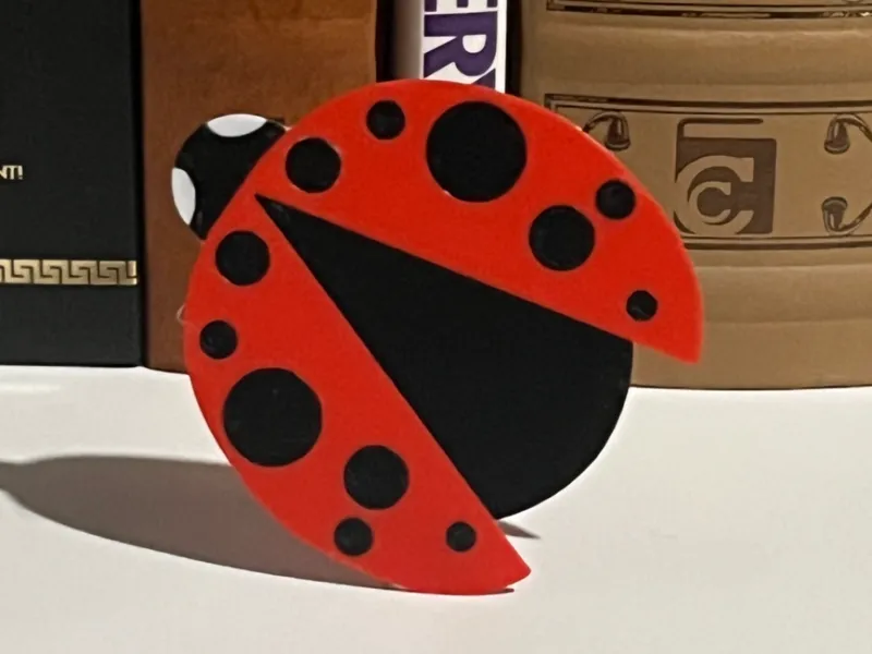 Ladybug Bookmark