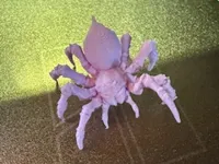 Araignée détaillée — photo 2