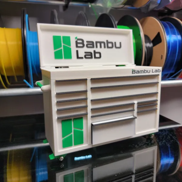 https://makerworld.bblmw.com/makerworld/model/US752c0ae2f2cde8/design/2024-03-31_9282937cd9df5.jpg