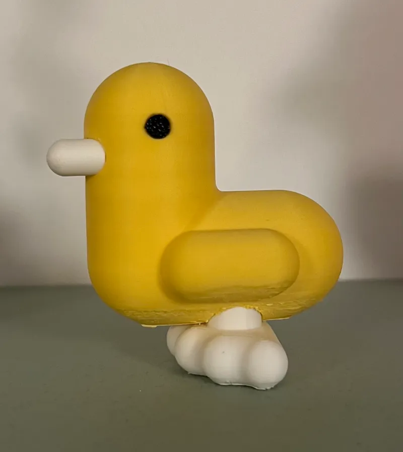 A cute little duck