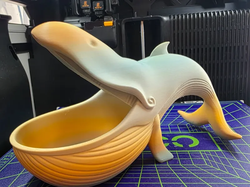 Whale Mouth Bowl