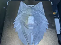 0.16mm layer, 2 walls, 5% infill