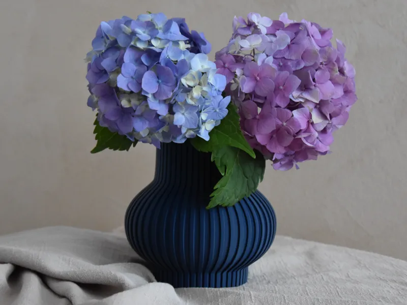 Gario - Vase