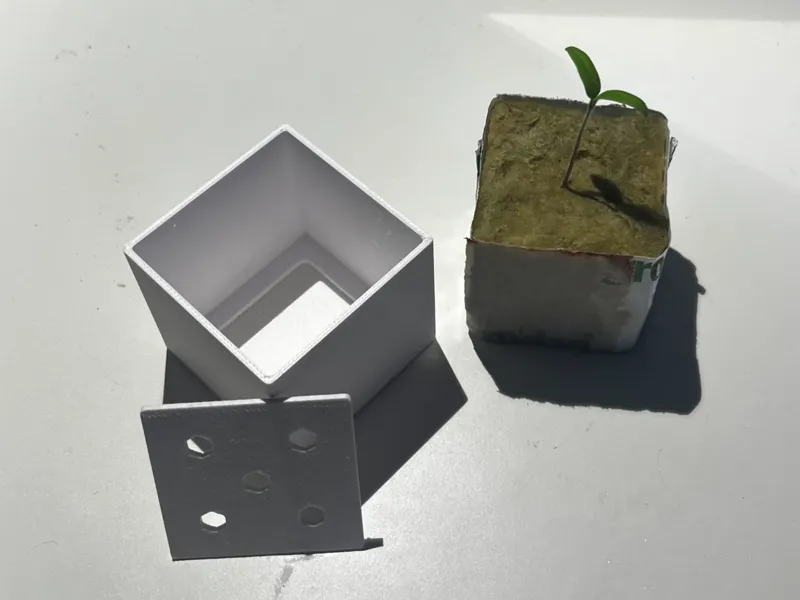 RockBase Grodan/Rockwool Seed Starter