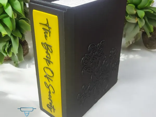 https://makerworld.bblmw.com/makerworld/model/US7541b1caf852f5/design/2024-09-06_b93c85e884b16.jpeg