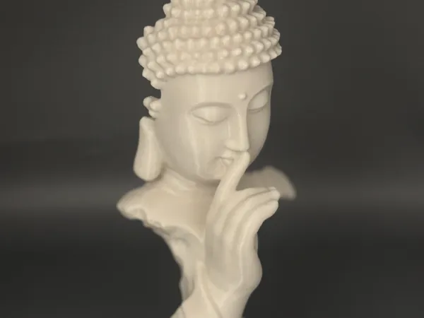 https://makerworld.bblmw.com/makerworld/model/US7541c6e13566cd/design/2025-04-02_05bb360918ca5.jpg