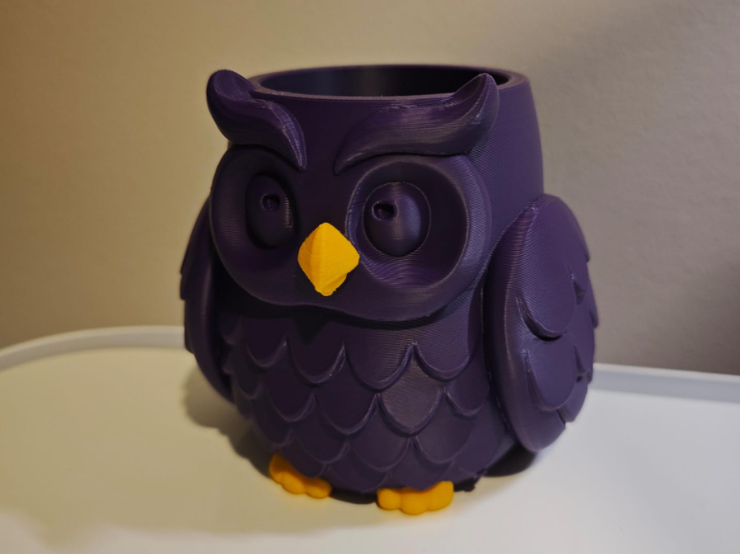 Wise Owl Desk Buddy | Custom Text + Color Details