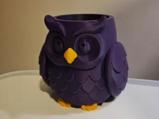 Wise Owl Desk Buddy | Custom Text + Color Details