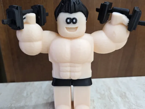 https://makerworld.bblmw.com/makerworld/model/US754b950ddafa83/design/2025-06-05_813e64ec6318b8.jpg