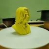 0.1mm layer, 2 walls, 15% infill
