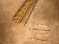 Écarteur de tiges pour culture de cannabis — photo 1
