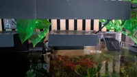 Fan holder